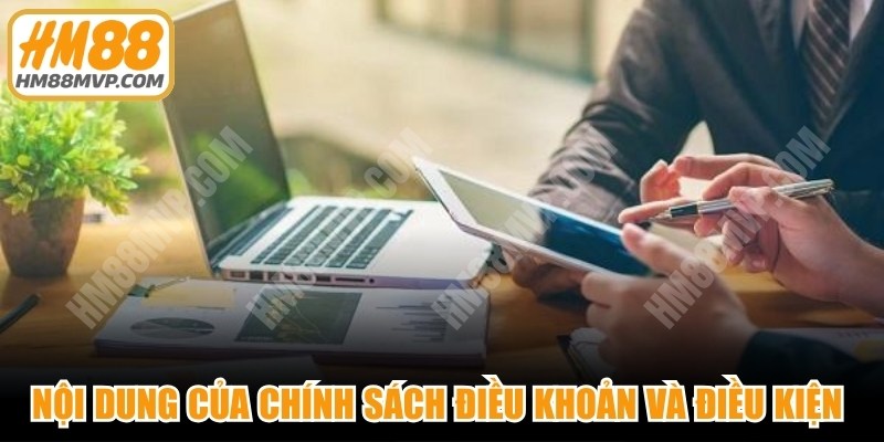 Nội dung của chính sách điều khoản và điều kiện tại HM88