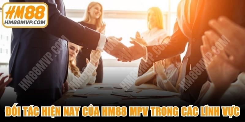 Các đối tác hiện nay của HM88 MPV trong các lĩnh vực 