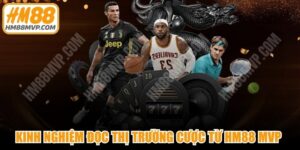 Kinh Nghiệm Đọc Thị Trường Cược