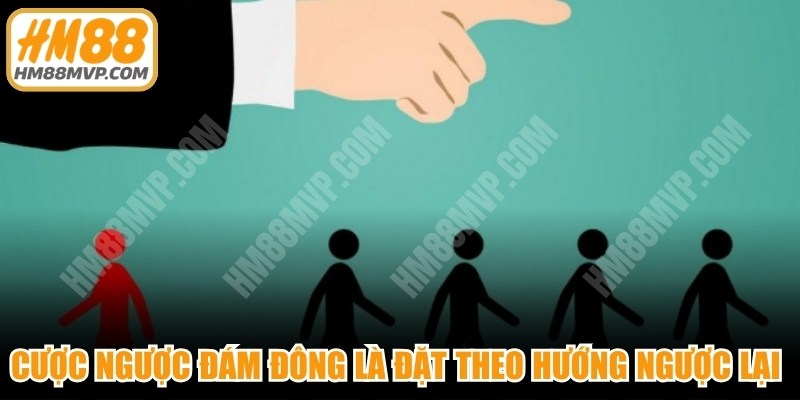 Cược ngược đám đông là đặt theo hướng ngược lại của phần lớn người chơi