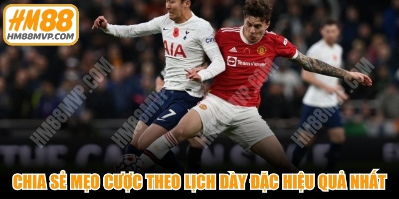 Chia sẻ mẹo cược theo lịch dày đặc hiệu quả nhất