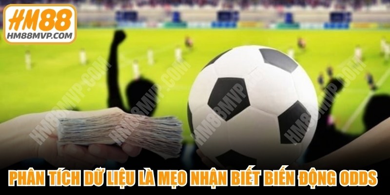 Phân tích dữ liệu là mẹo nhận biết biến động odds bất thường hiệu quả