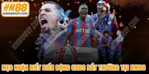 Mẹo Nhận Biết Biến Động Odds Bất Thường